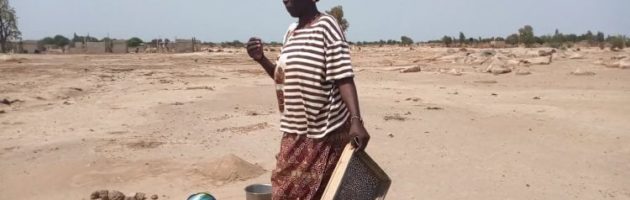 Collette de gravillons : Alimata en a fait un métier à Ouahigouya